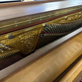 Pianino ED.Seiler 130 All inclusive