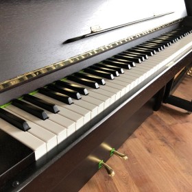 Pianino nordiska renner wenge