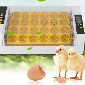 INKUBATOR AUTOMAT SMART 24 JAJ wylęgarka klujnik automatyczny + ZESTAW