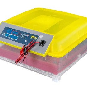 TACA automatyczna do klujnika DINO na 144/36 JAJ Przepiórka perliczka