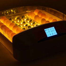 Zestaw INKUBATOR OVO automat do 56JAJ DROBIU wylęgarka +Prześwietlarka