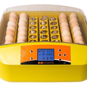 Zestaw INKUBATOR OVO automat do 56JAJ DROBIU wylęgarka +Prześwietlarka