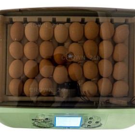 Inkubator Automat SMART 32 z mechanizmem rolkowym na każdy rodzaj jaj