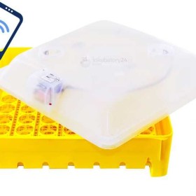 INKUBATOR IO1-P 56 jaj półautomatyczny KLUJNIK wylęgarka PRZEŚWIETLACZ