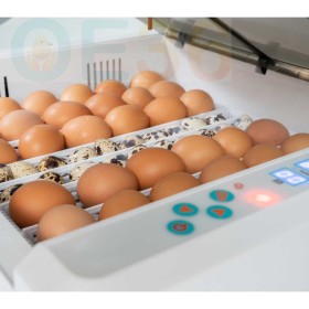 ZESTAW Inkubator AUTOMATYCZNY do 36 jaj pod Każdy rodzaj JAJA HIT!