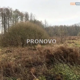 działka nad jeziorem Dominikowo
