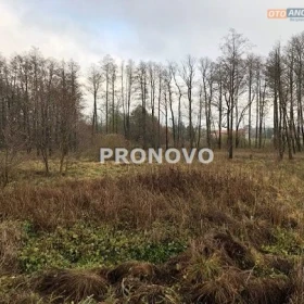 działka nad jeziorem Dominikowo