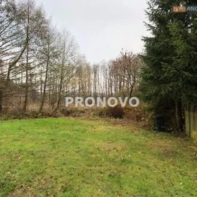 działka nad jeziorem Dominikowo