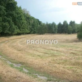 Działka 1000 m2 - Smogolice