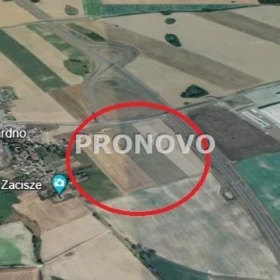 działka budowlana 9000m2 Gardno gm. Gryfino