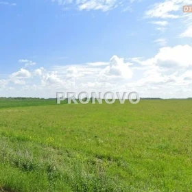 działka budowlana 9000m2 Gardno gm. Gryfino