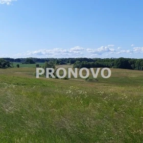 atrakcyjna działka rolna-agroturystyka Stara Studn