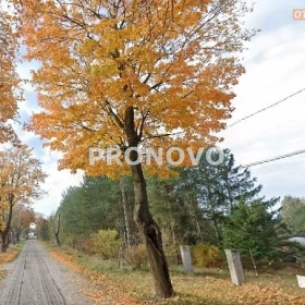 działka pod zabudowę Łęgi