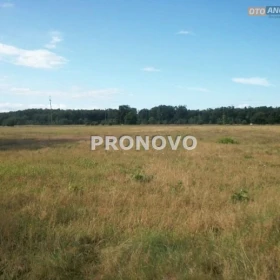 Działka 3000 m2 - Miłowo