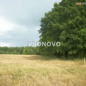 Działka 3000 m2 - Miłowo