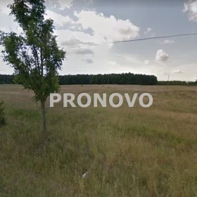 Działka 3000 m2 - Miłowo