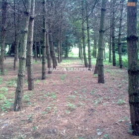 Wolnostojący dom ok. 600 m2