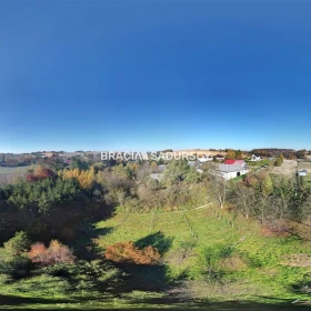 Wolnostojący dom ok. 600 m2