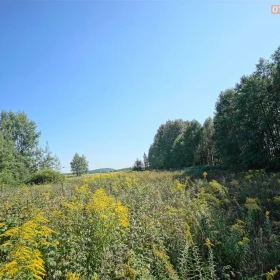 Działka 4731 m2 - Dąbrowa Górnicza
