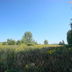 Działka 4731 m2 - Dąbrowa Górnicza