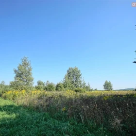 Działka 4731 m2 - Dąbrowa Górnicza