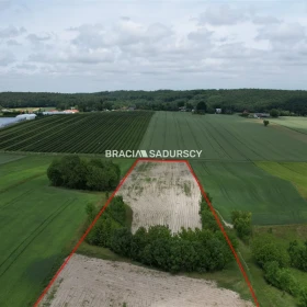 Działka 30500 m2 - Prandocin-Iły