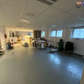 Hala - magazyn 300 m2 - Mikołów