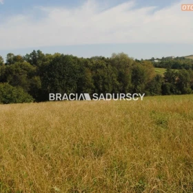 Okazja!!!Do sprzedania duża nieruchomość .