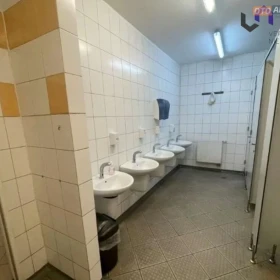 MROŹNIA CHŁODNIA. RÓŻNE MODUŁY. MYSŁOWICE