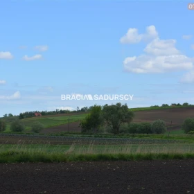 Działka w całości budowlana o pow.: 1313 m2
