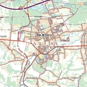Działka produkcyjno-usługowa Brzesko