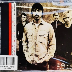 CD Nowa-Polecam Album CD FOO FIGHTERS -Album One by One