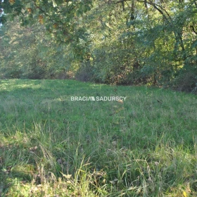 Duża działka budowlano-rolna w Gdowie.