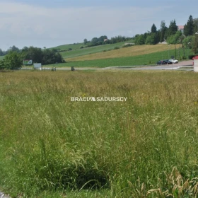 Działka inwestycyjna w Brzeziu gm.Kłaj