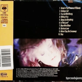 Polecam Wspaniały Album CD ALISON MOYET – Album Raindancing