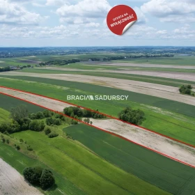 Działka 30500 m2 - Prandocin-Iły