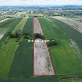 Działka 30500 m2 - Prandocin-Iły