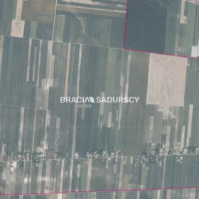 Działka 30500 m2 - Prandocin-Iły
