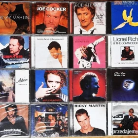 CD Nowa-Polecam Wspaniały Album CD SEAL - Album Soul CD