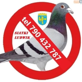 siatka na balkon okna przeciw gołębią ptakom, dla kotka