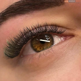 Taida Niklas Lash Collections