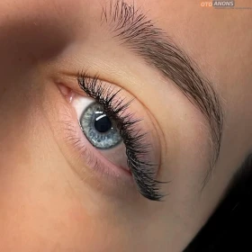Taida Niklas Lash Collections