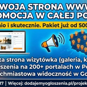 Strona internetowa od 500 PLN z mocną promocją na START