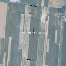 Działka 30500 m2 - Prandocin-Iły