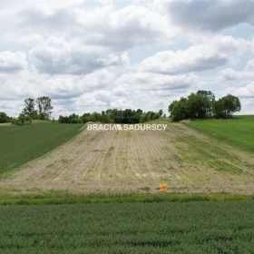 Działka 30500 m2 - Prandocin-Iły