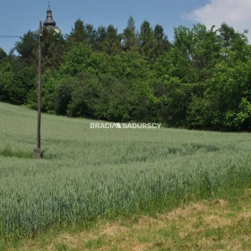Duża działka inwestycyjna w Brzeziu gm.Kłaj