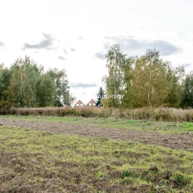 Działka budowlana / 25 ar / płaska / Cholerzyn 