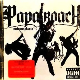 Polecam Album CD Red Hot Chili Peppers What Hits