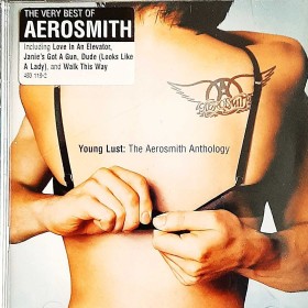 Polecam Wspaniały Podwójny Album 2XCD Aerosmith Young Lus