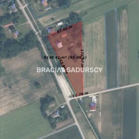 Sieradzice gmina Kazimierza Wielka